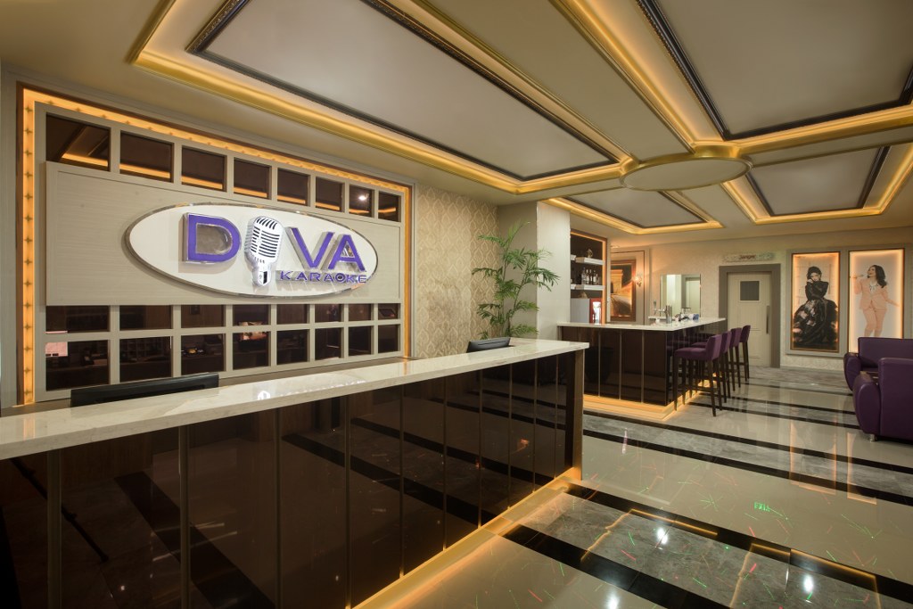 hcs-diva-karaoke-reception.jpg